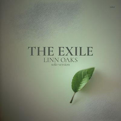 Pre Made Album Cover Bitter