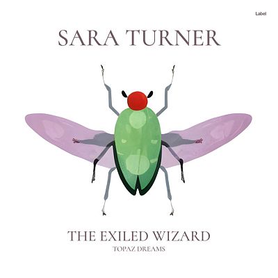 Pre Made Album Cover Gray Nickel