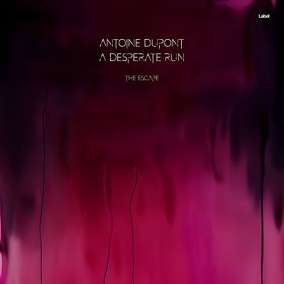 Pre Made Album Cover Disco