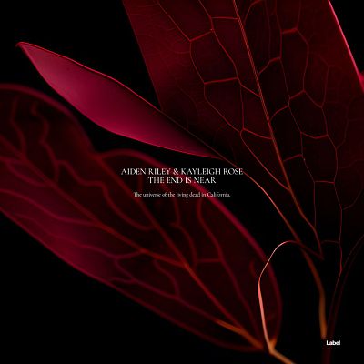 Pre Made Album Cover Creole