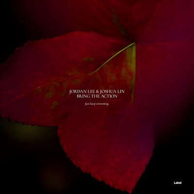 Pre Made Album Cover Rebel