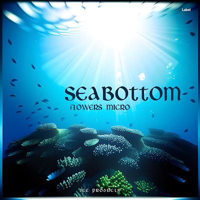 Pre Made Album Cover Humming Bird