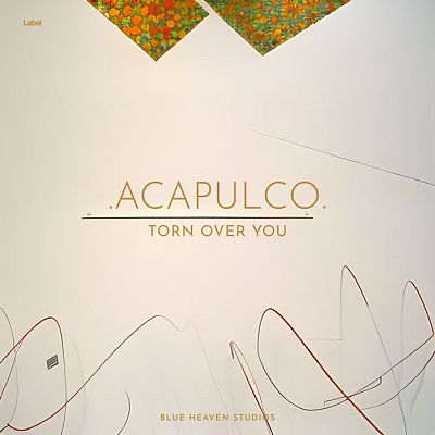 Pre Made Album Cover Pearl Bush