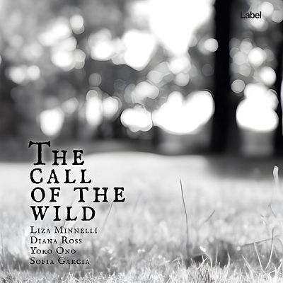 Pre Made Album Cover Silver