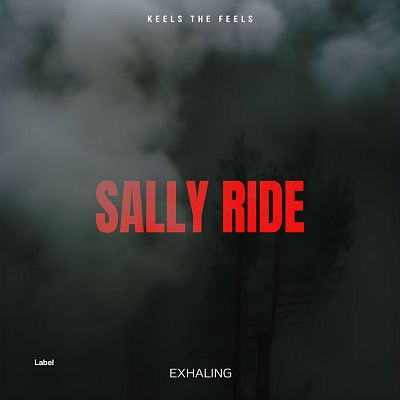 Pre Made Album Cover Outer Space