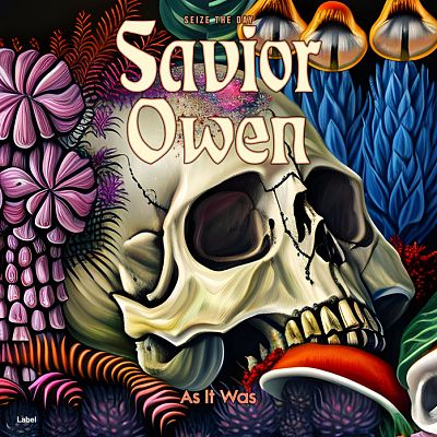 Pre Made Album Cover Cameo