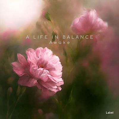 Pre Made Album Cover Roman Coffee