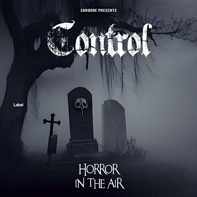 Pre Made Album Cover Charade