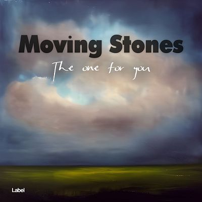 Pre Made Album Cover Shuttle Gray