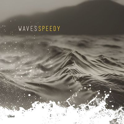 Pre Made Album Cover Flint