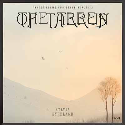 Pre Made Album Cover Double Spanish White