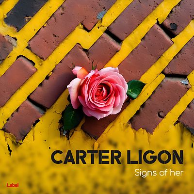 Pre Made Album Cover Mandalay