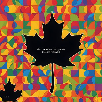 Pre Made Album Cover Firefly