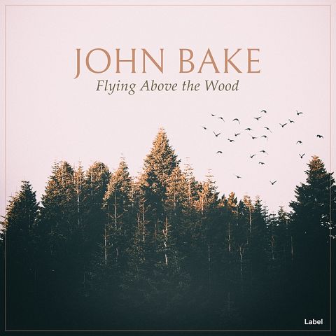 Pre Made Album Cover Bizarre