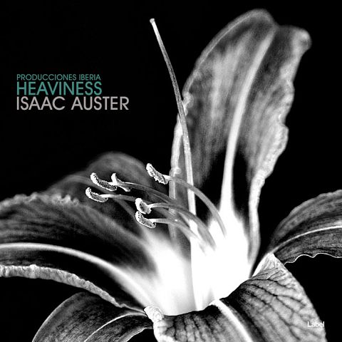 Pre Made Album Cover Silver