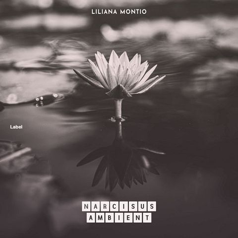 Pre Made Album Cover Tundora