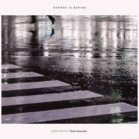 Pre Made Album Cover Pale Slate