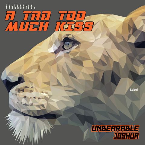 Pre Made Album Cover Fuscous Gray