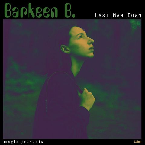 Pre Made Album Cover Charade