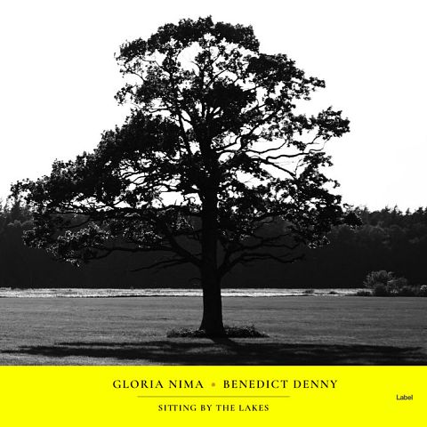 Pre Made Album Cover Golden Dream