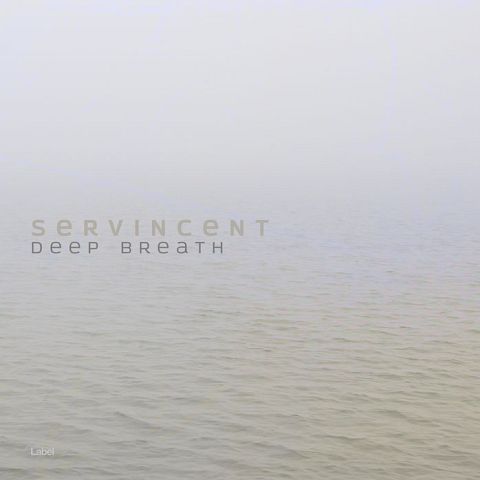 Pre Made Album Cover French Gray