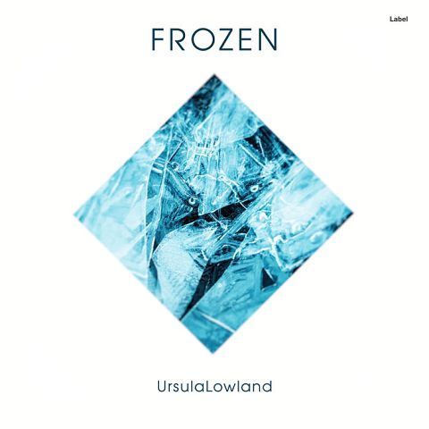 Pre Made Album Cover Cornflower