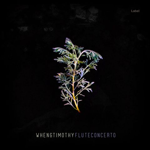 Pre Made Album Cover Woodsmoke