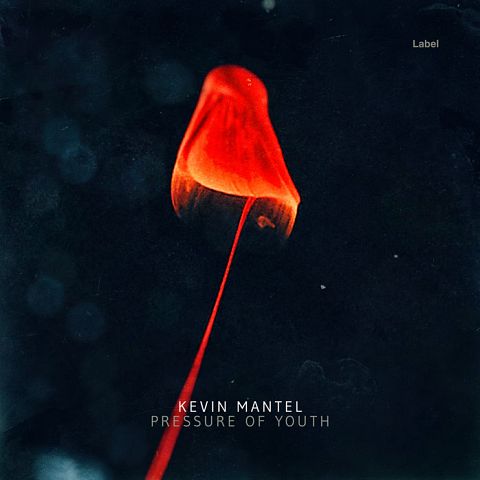 Pre Made Album Cover Firefly