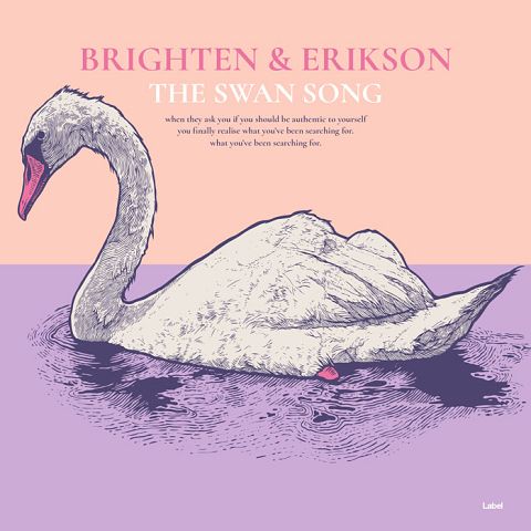 Pre Made Album Cover Cavern Pink