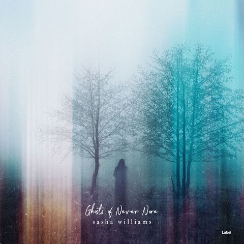 Pre Made Album Cover Jungle Mist