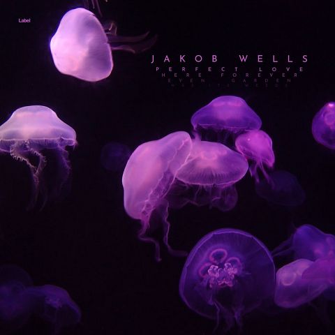 Pre Made Album Cover Violet