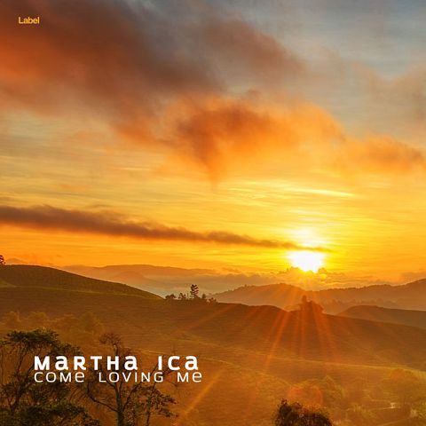 Pre Made Album Cover Copper