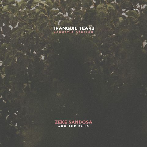 Pre Made Album Cover Fuscous Gray