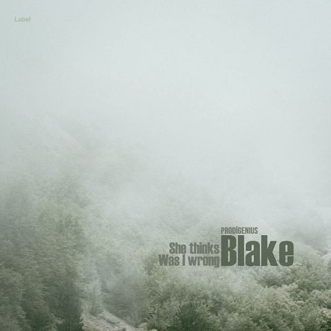 Pre Made Album Cover Tiara