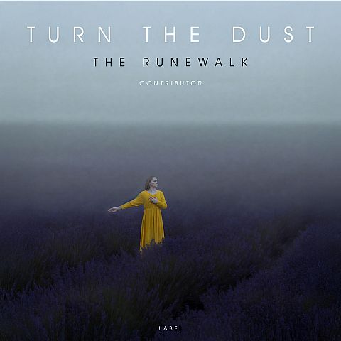 Pre Made Album Cover Charade