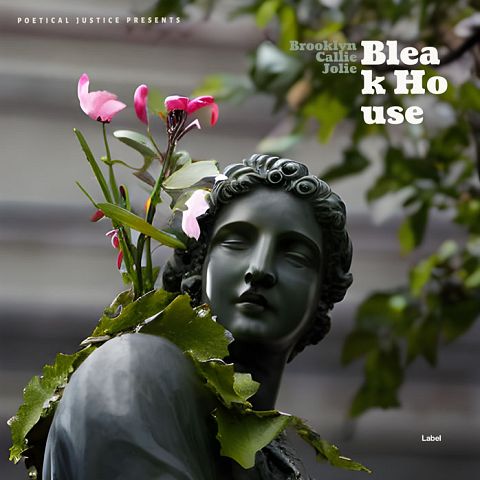 Pre Made Album Cover Kelp