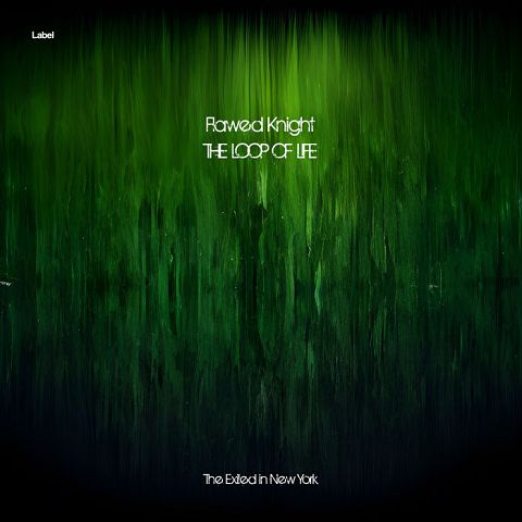 Pre Made Album Cover Palm Green